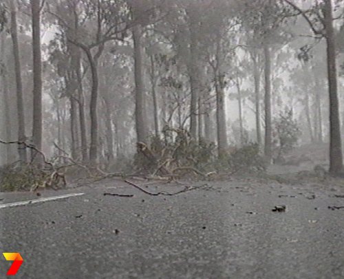 footage courtesy of Channel 7