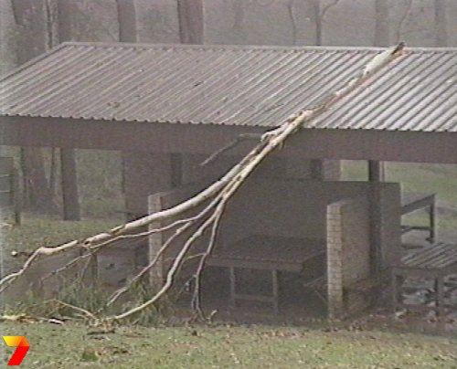 footage courtesy of Channel 7