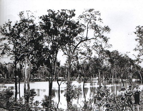 Photograph courtesy of the Queensland State Library