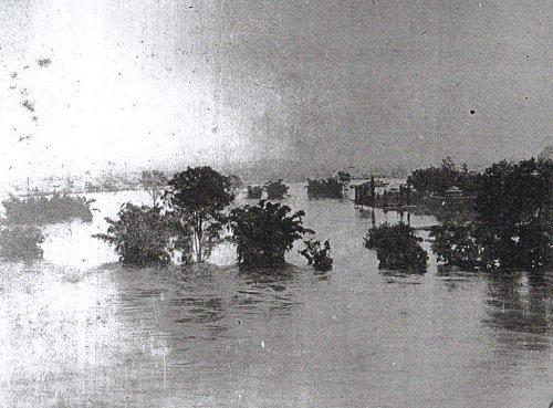 Photograph courtesy of the Queensland State Library