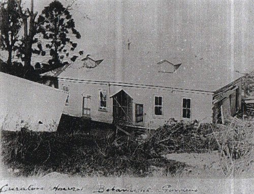 Courtesy of the Queensland State Library