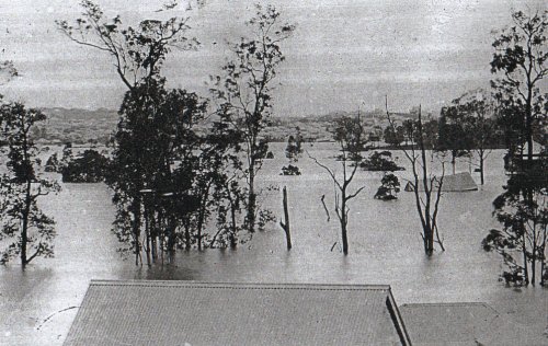 Courtesy of the Queensland State Library