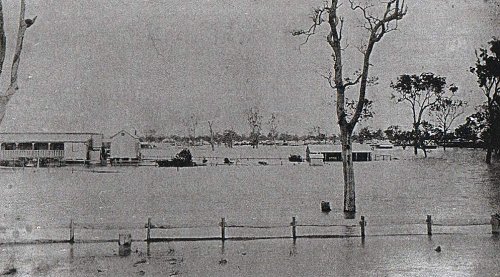 Courtesy of the Queensland State Library