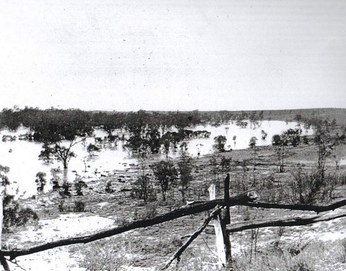 Photograph courtesy of the Queensland State Library