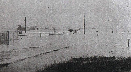 Photograph courtesy of the Queensland State Library