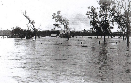 Photograph courtesy of the Queensland State Library