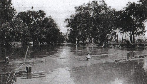 Photograph courtesy of the Queensland State Library