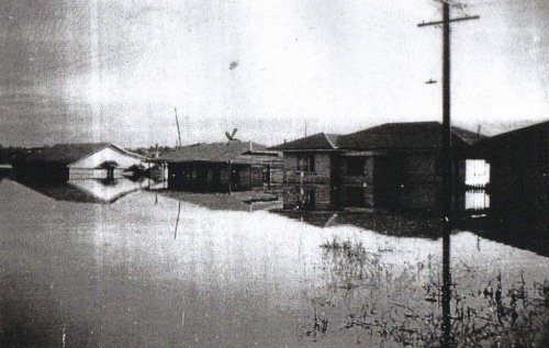 Photograph courtesy of the Queensland State Library