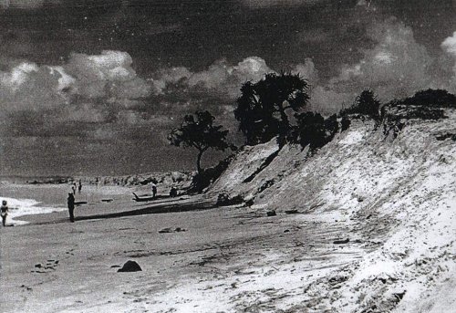 Photograph courtesy of the Queensland State Library