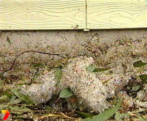 footage courtesy of Channel 7