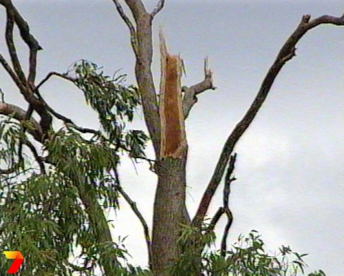 footage courtesy of Channel 7