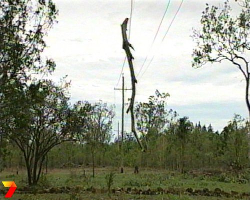 footage courtesy of Channel 7