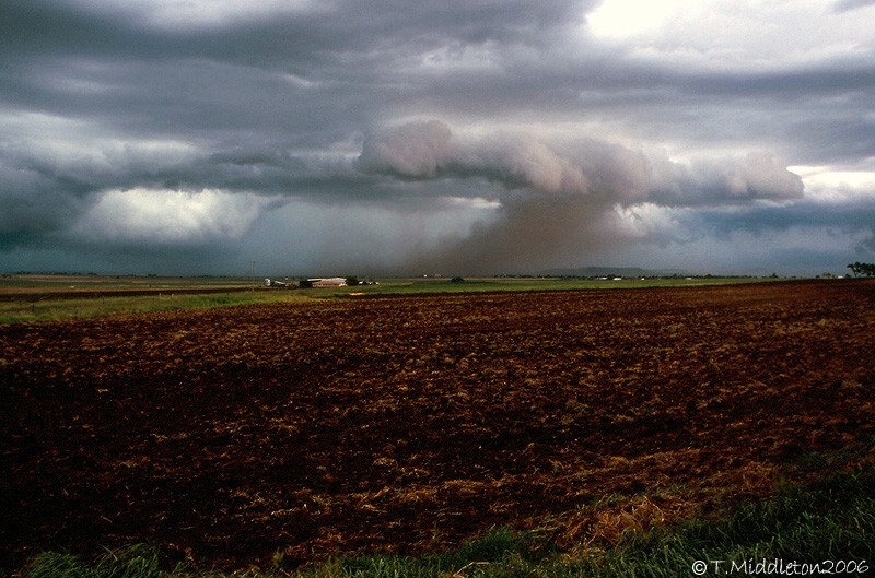 Photo  Tony Middleton