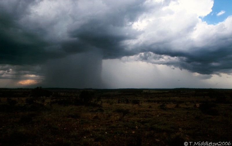 Photo  Tony Middleton