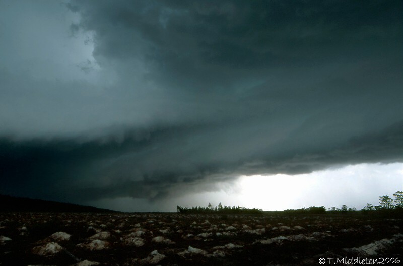 Photo  Tony Middleton