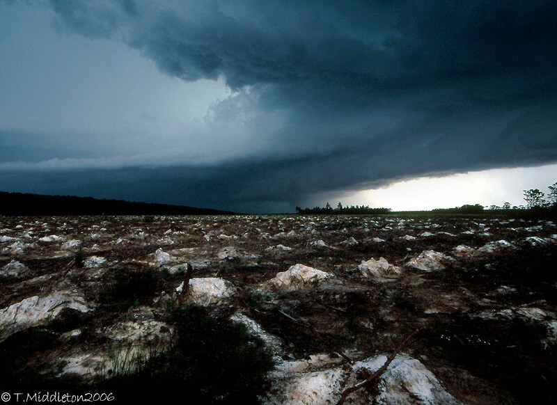 Photo  Tony Middleton