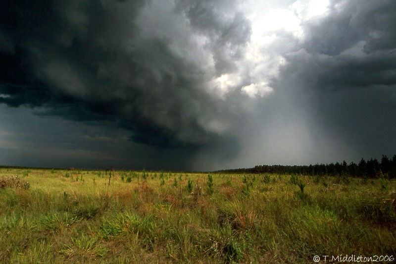 Photo  Tony Middleton