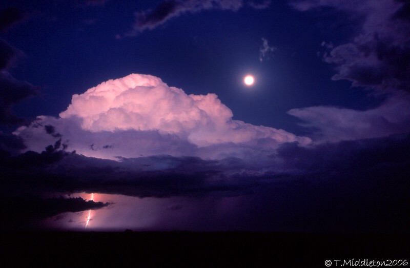 Photo  Tony Middleton