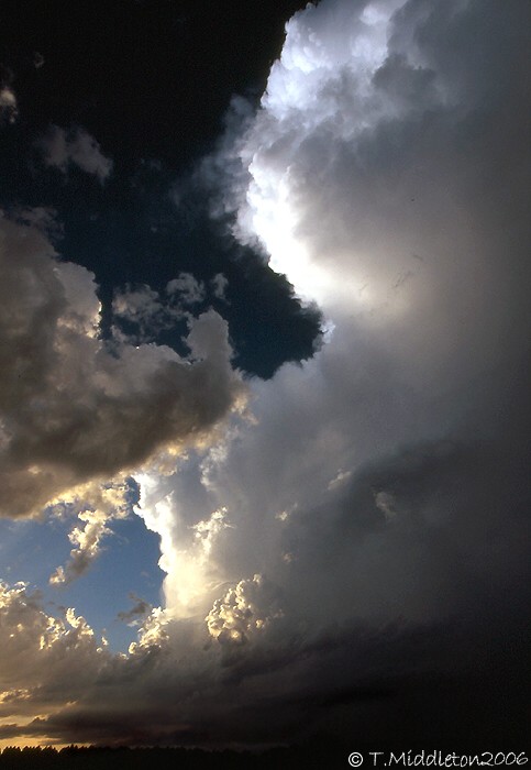 Photo  Tony Middleton