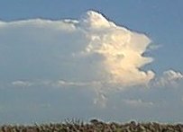 January 21, 2000 - Taken by Ben Quinn