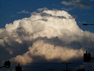 Click here to go to the chase report