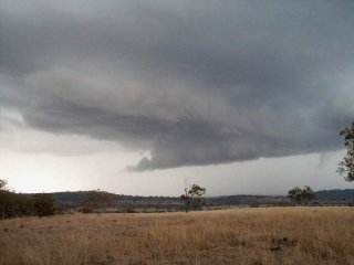 Click here to go to the chase report