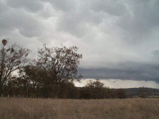 Click here to go to the chase report