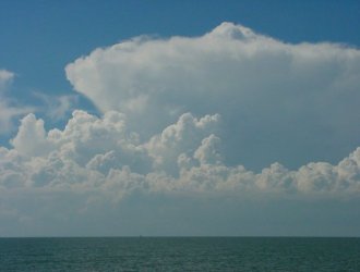 March 9, 2001 - Taken by Ben Quinn