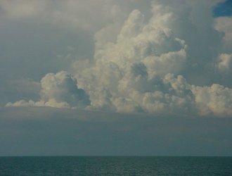 March 9, 2001 - Taken by Ben Quinn