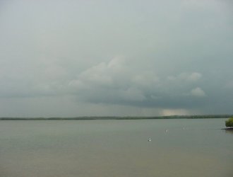 March 9, 2001 - Taken by Ben Quinn