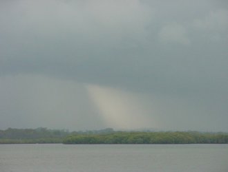 March 9, 2001 - Taken by Ben Quinn