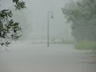 March 9, 2001 - Taken by Ben Quinn