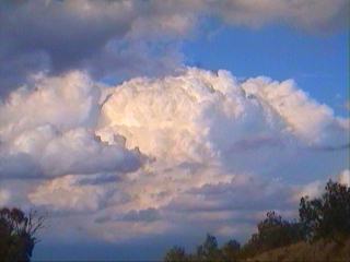 Video still by Anthony Cornelius