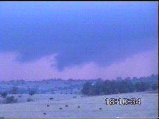 Click here to go to the chase report