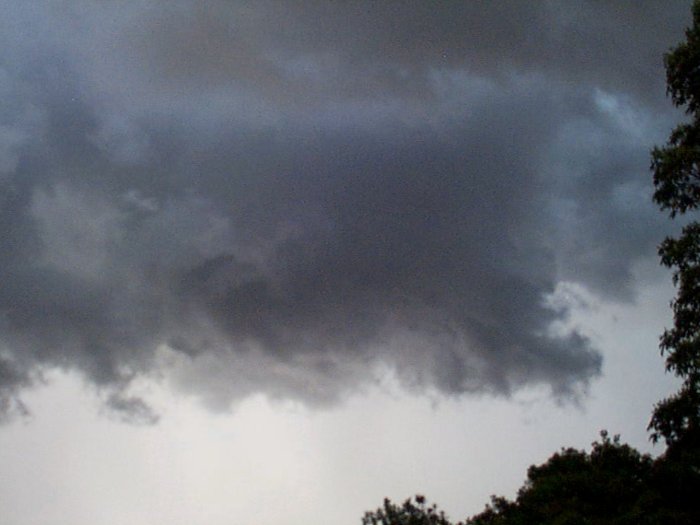 Taken by Anthony Spierings