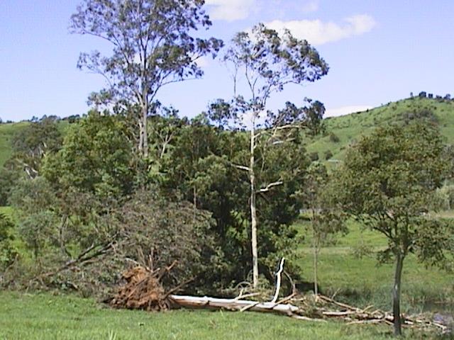 Damage caused by the November 8 Ceder Pocket Tornado
